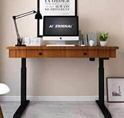 AIterminal Electric Standing Desk