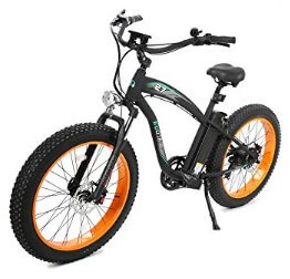 Ecotric Electric Bike
