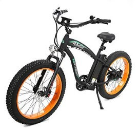 Ecotric Electric Bike