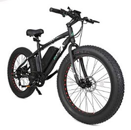 Ecotric Fat Tire Electric Bike