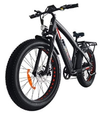 Addmotor MOTAN Electric Bike